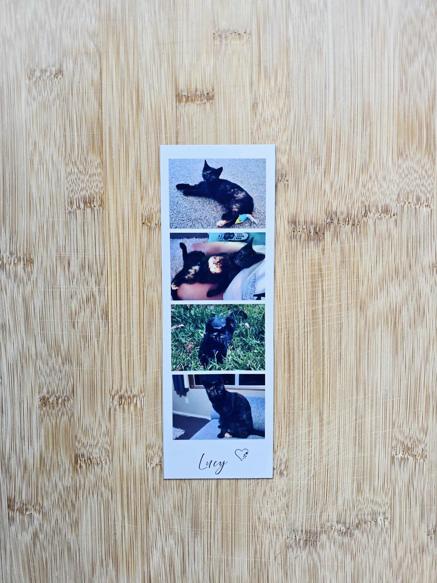 Flexible Photo Booth Magnets