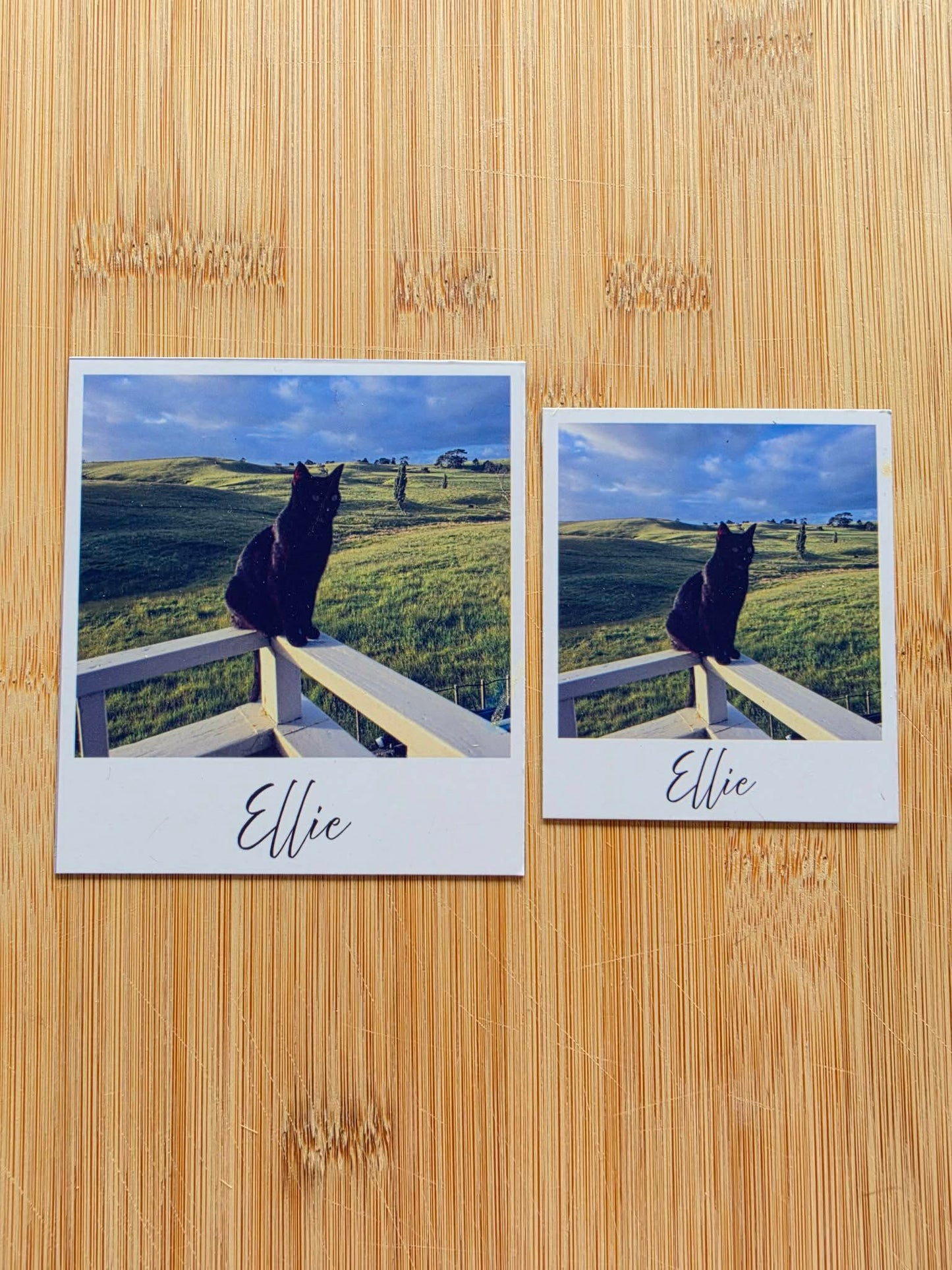 Flexible Photo Magnets