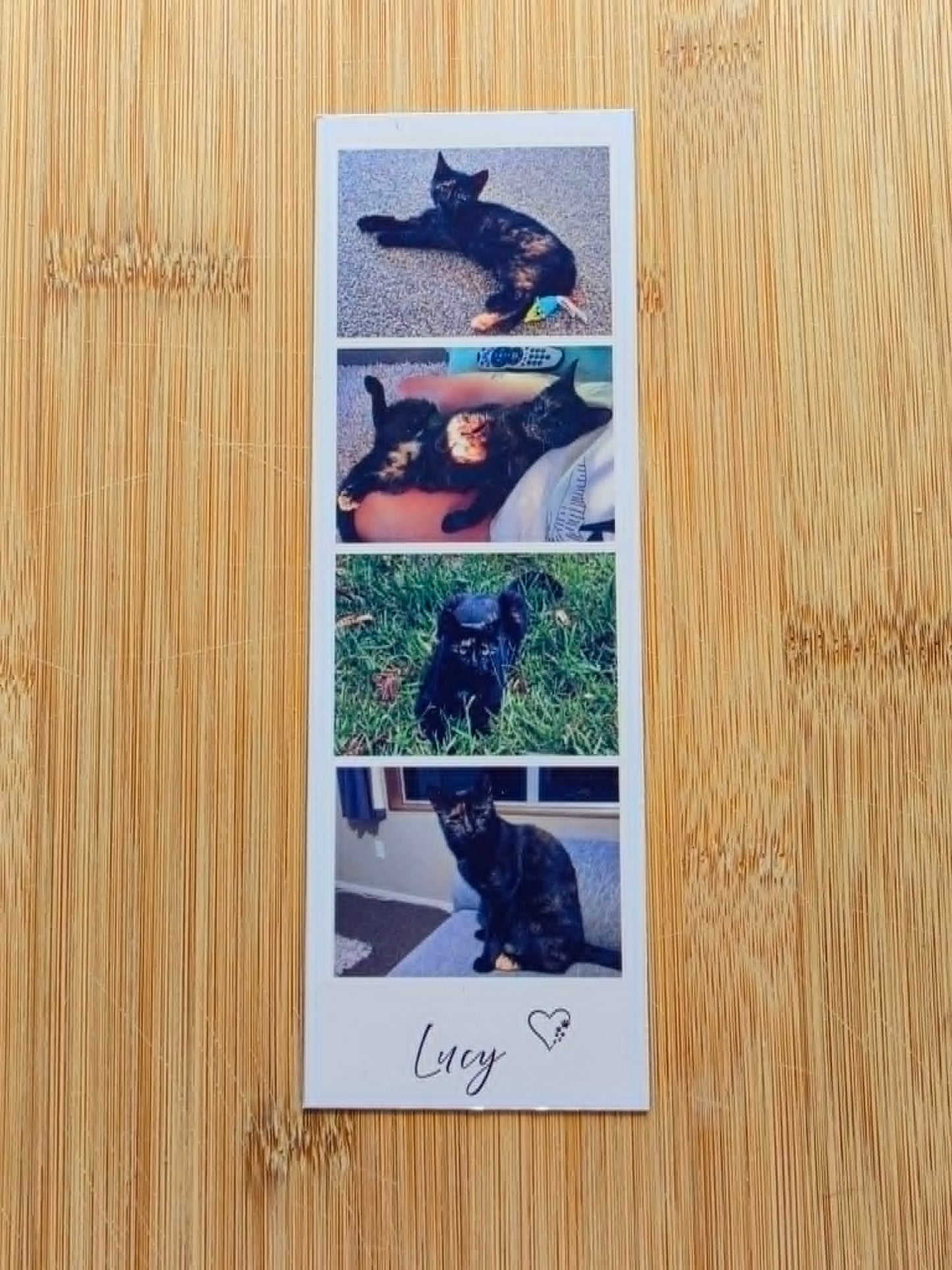 Flexible Photo Booth Strip Magnets