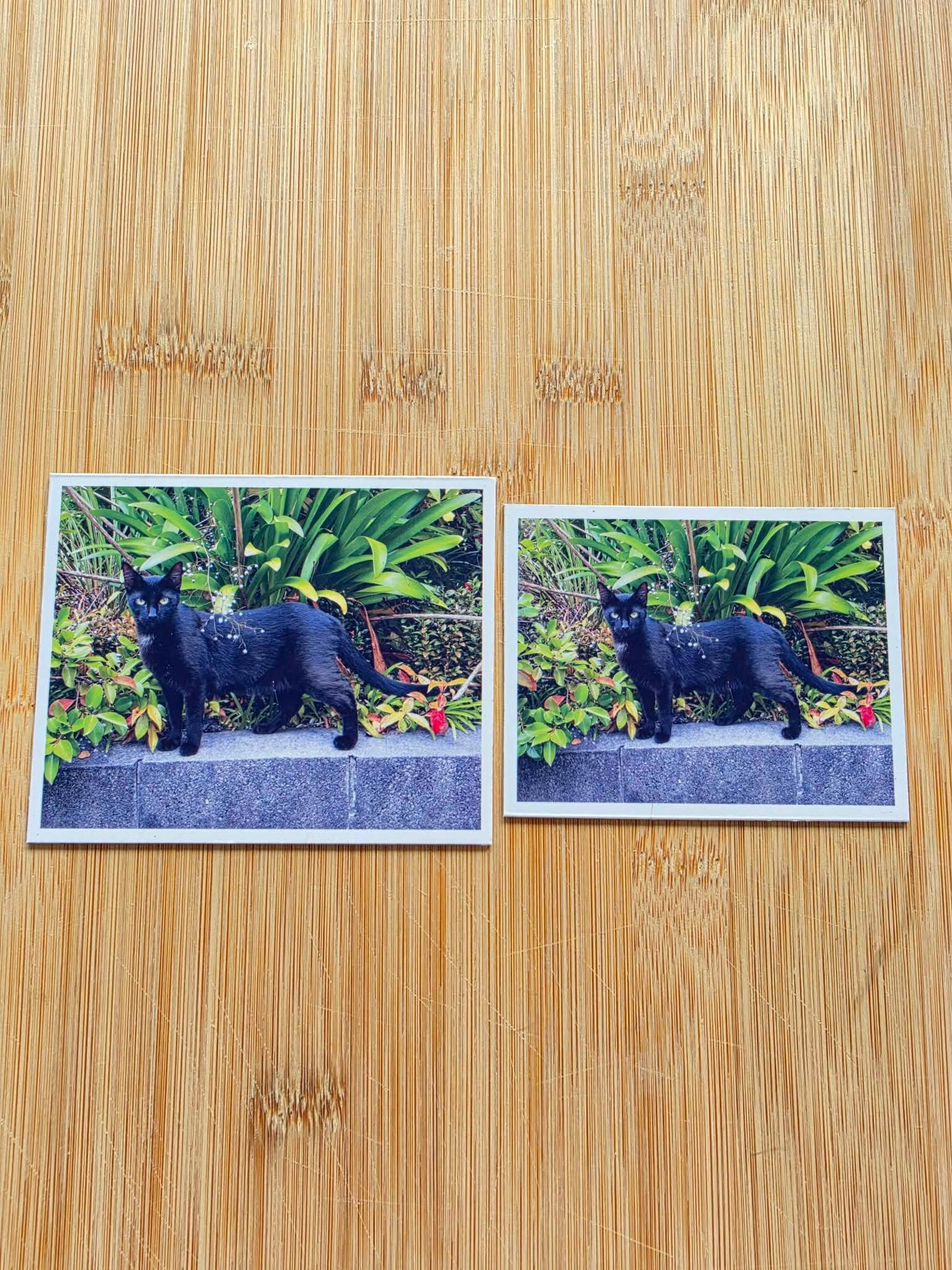 Flexible Photo Magnets