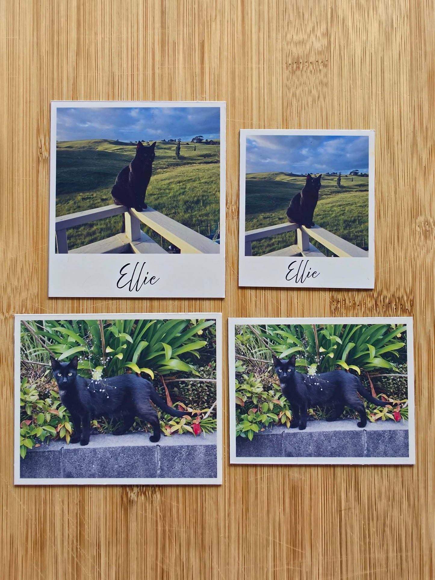 Flexible Photo Magnets